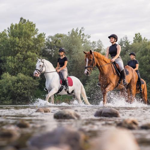 Horseback Riding