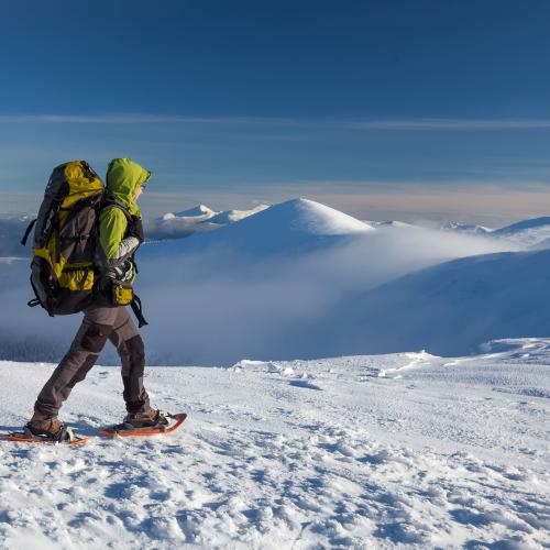 Raquetas de nieve